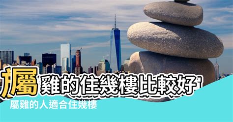 屬狗住宅方位|【82年屬狗風水樓層】82年屬狗買房子方位注意規避一些不吉方。